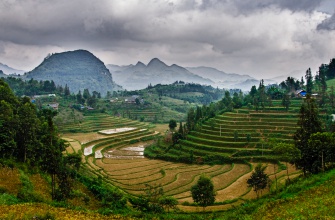 Asia Holiday 2020