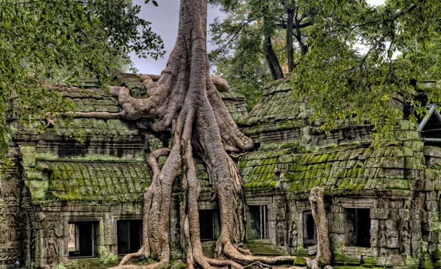 angkor ruin