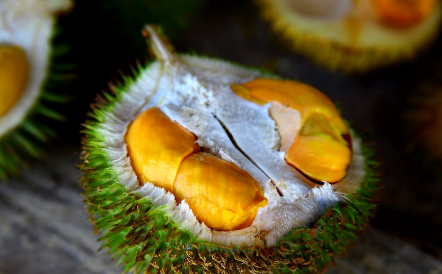 durian malaysia