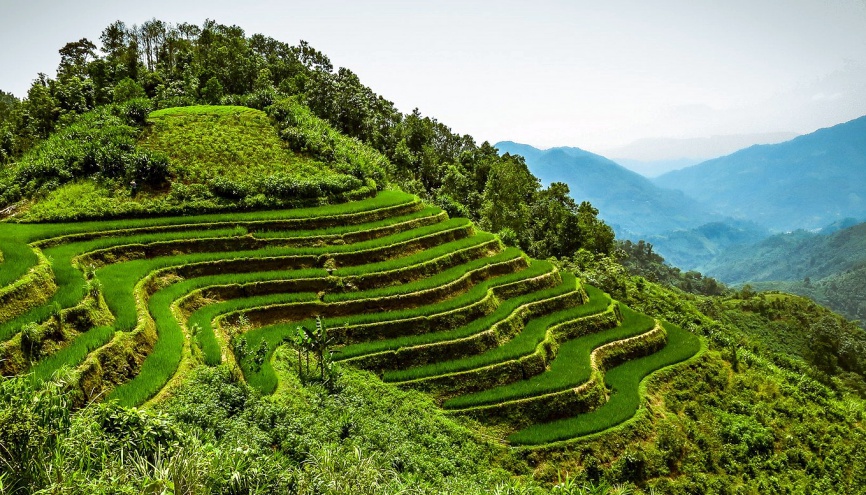 ha giang