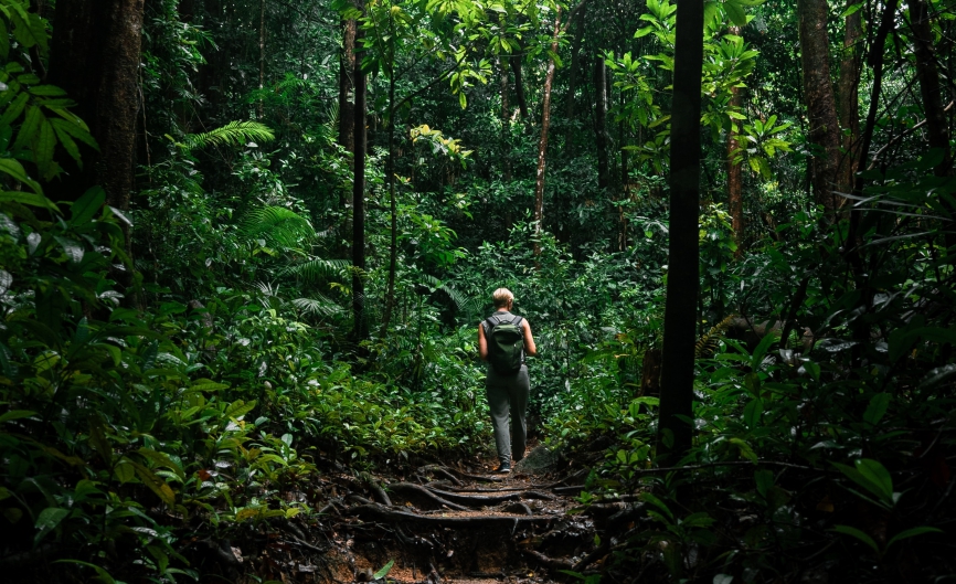 jungle trek