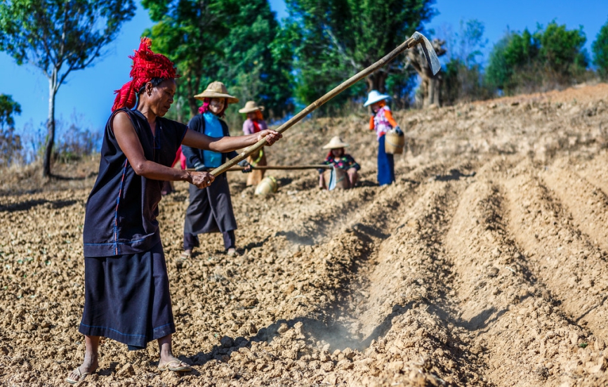 kalaw people