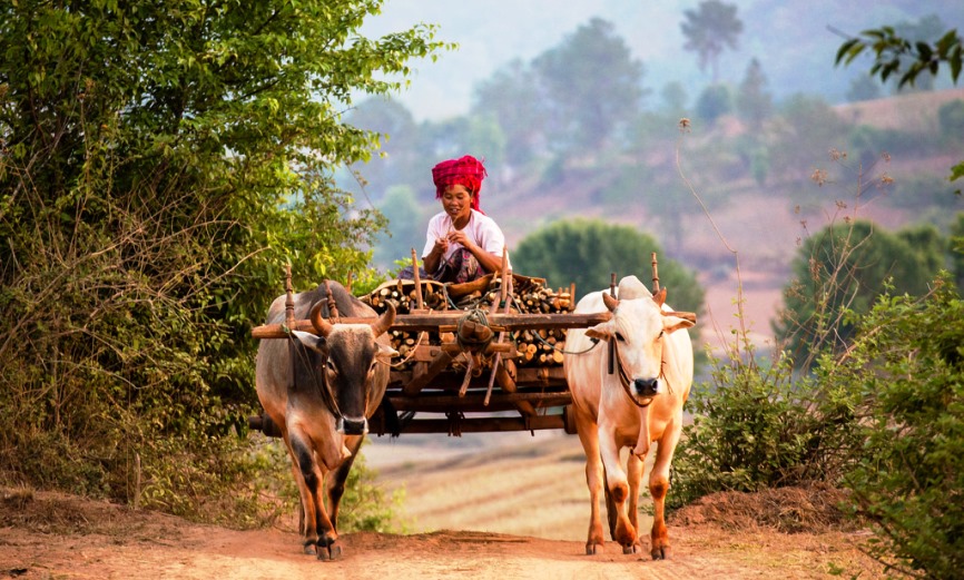 kalaw people