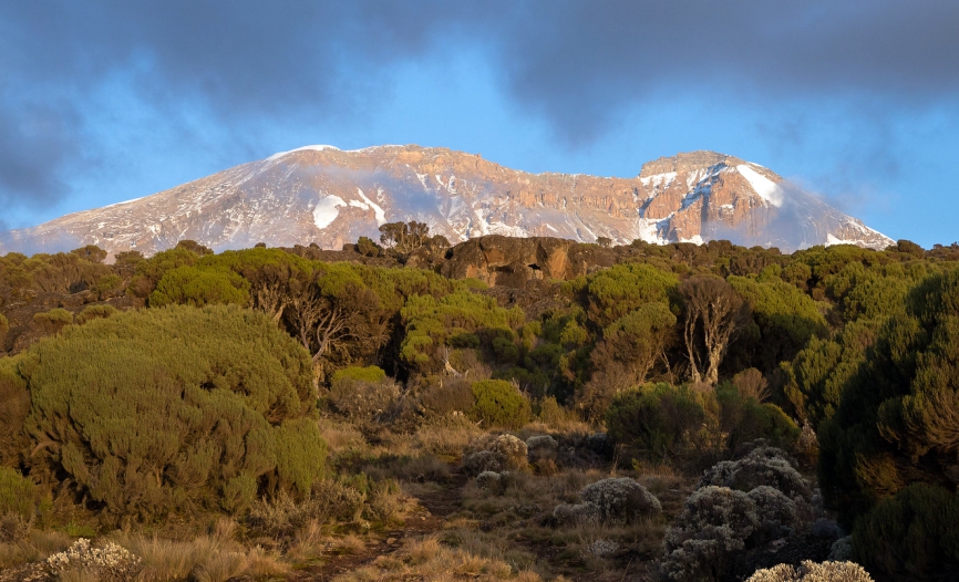 kilimanjaro peak