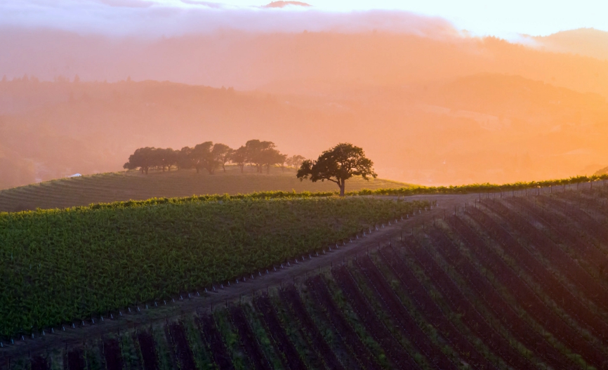 napa valley