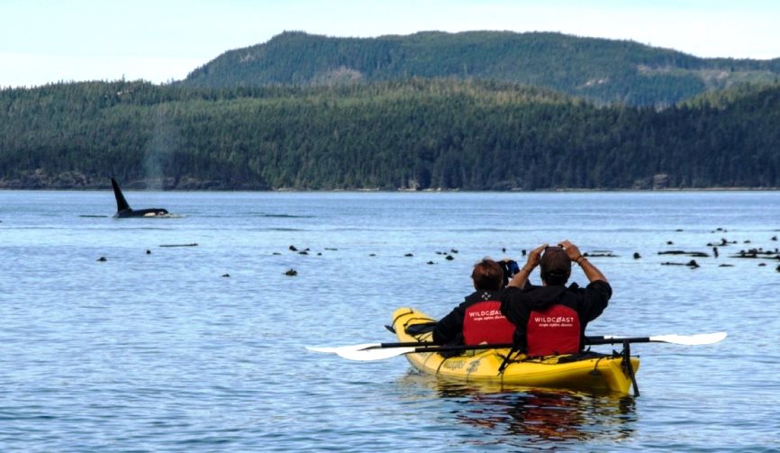 orca kayak