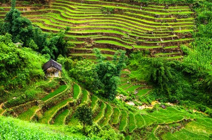 sapa landscape