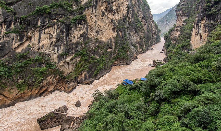 tiger leaping georges