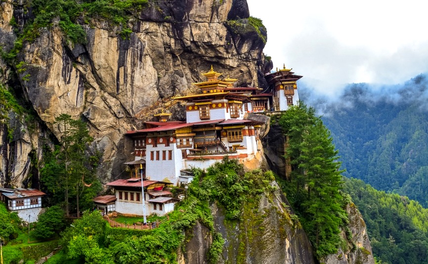 tigers nest