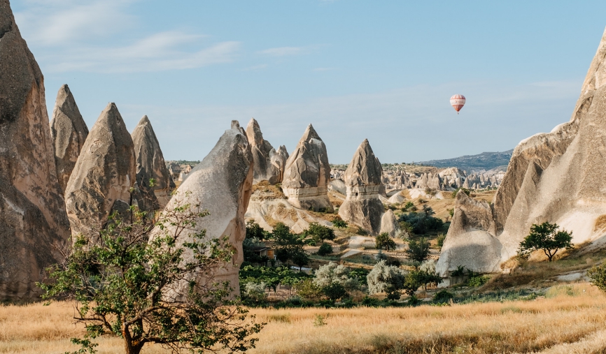 turkey