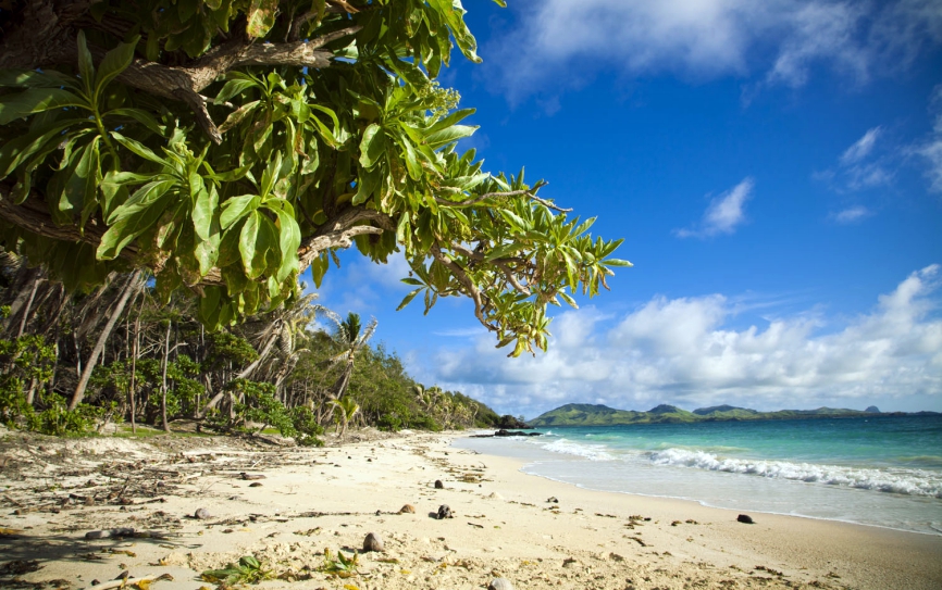 turtle island